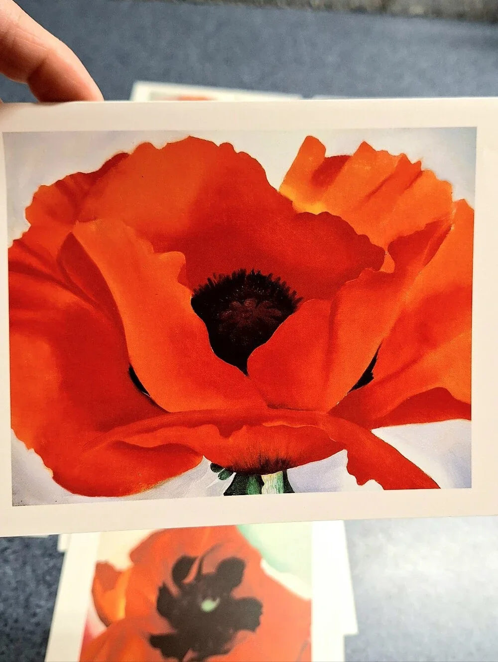 Georgia O'Keeffe Vintage Floral Card Set: Red, White, Blue &Music Pink & Blue II